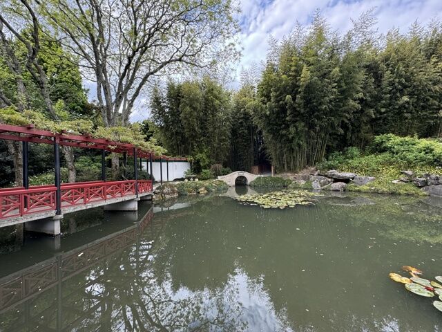 Jardin Chinois