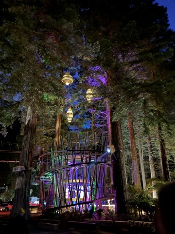 Redwood Treewalk de nuit