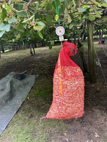 4) on pèse nos sacs quand c’est possible