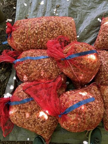 Nos sacs sur une matinée