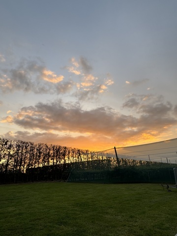 Coucher de soleil chez Andrew