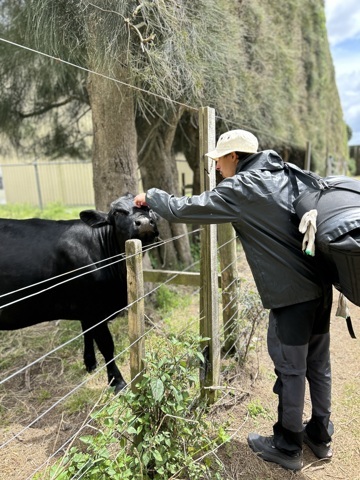 Jessy avec notre voisine