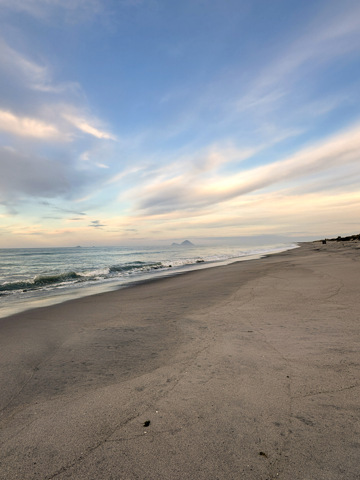 Motuoroi Island