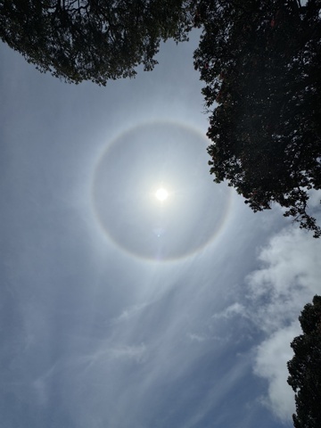 Halo Solaire, on ne connaissait pas du tout avant, c’est beau !