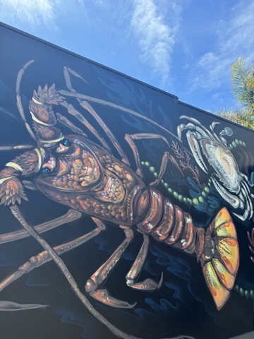 Napier