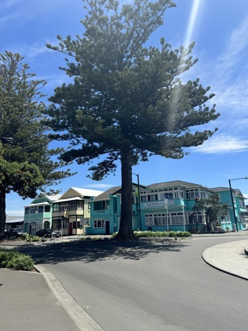 Napier