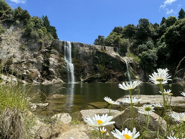 Waihi falls