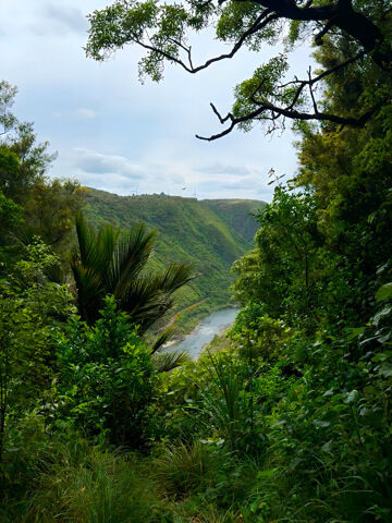 Gorges de Manawatu
