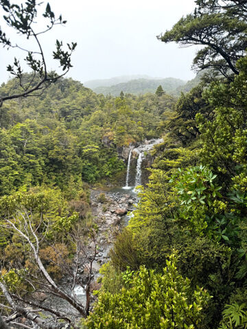 Gorges de Manawatu
