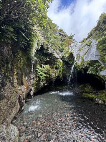 Dawson falls