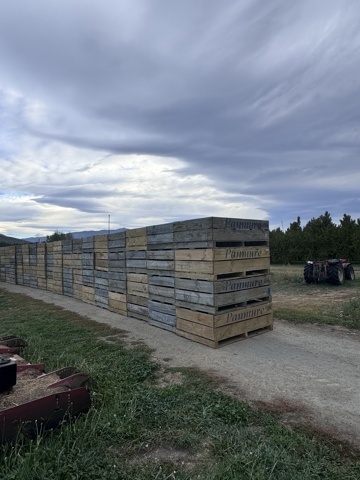 Au revoir Panmure Orchards