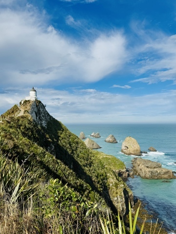 Nuggets point
