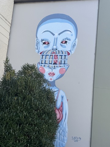 Street art de Dunedin