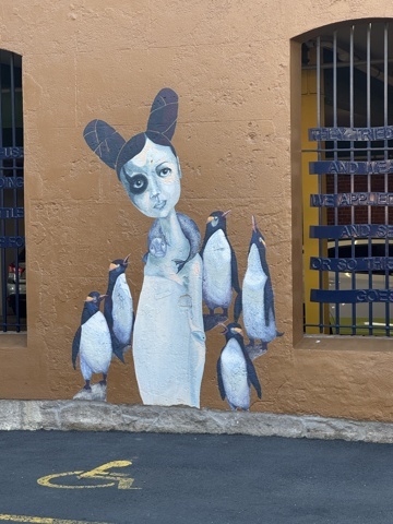 Street art de Dunedin