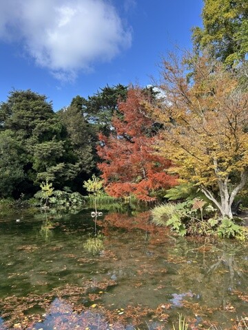 Botanic Garden