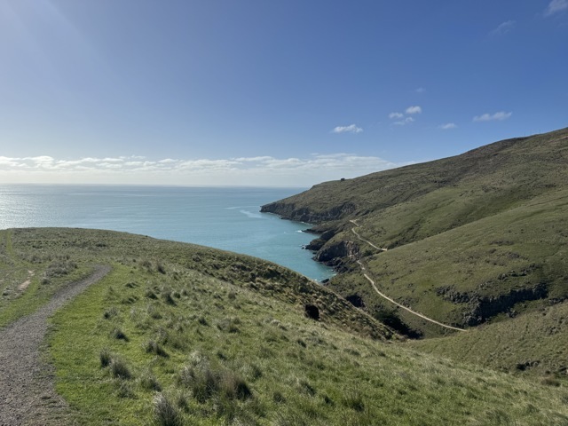 Randonnée Awaroa/Godley Head