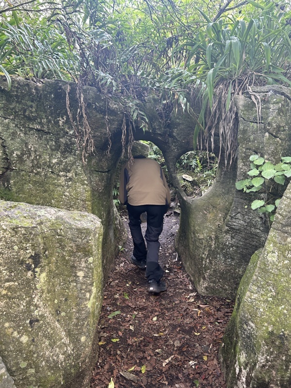 Labyrinth Rocks