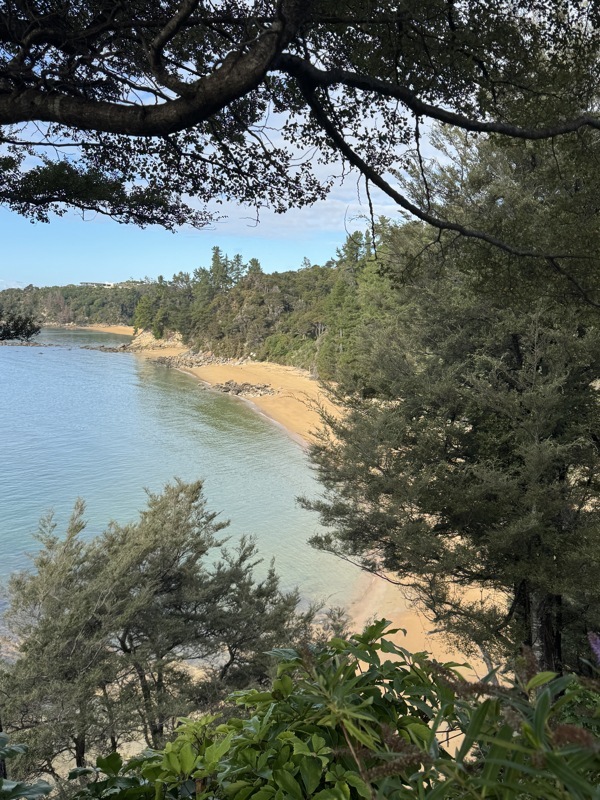 Abel Tasman
