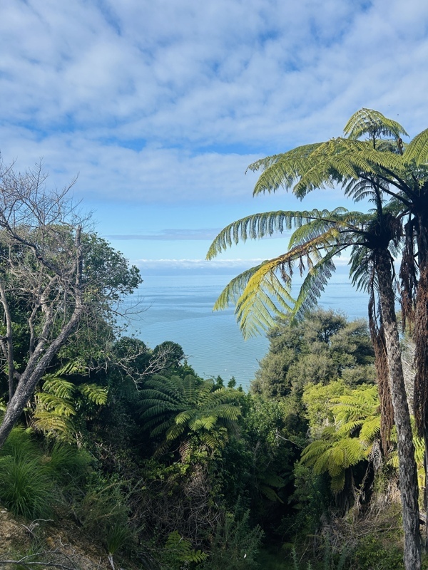 Abel Tasman