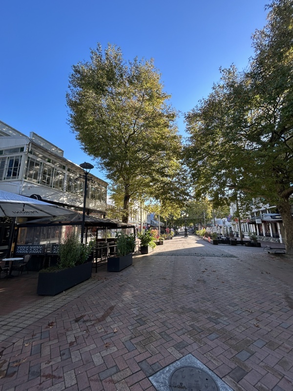 Rue principale de Nelson (déserte)