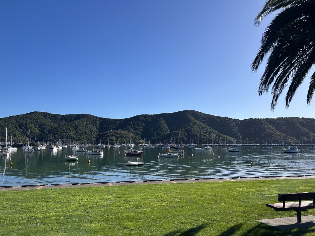 Petit port