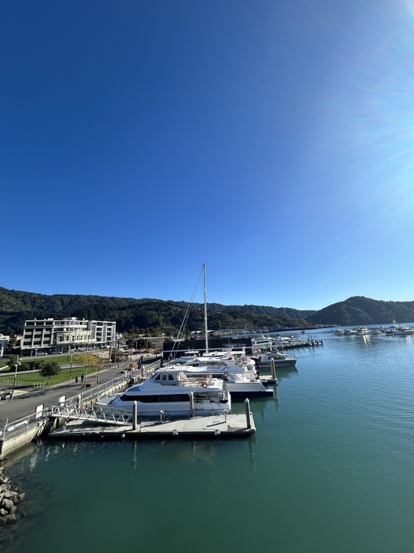 Balade au centre ville et à la marina