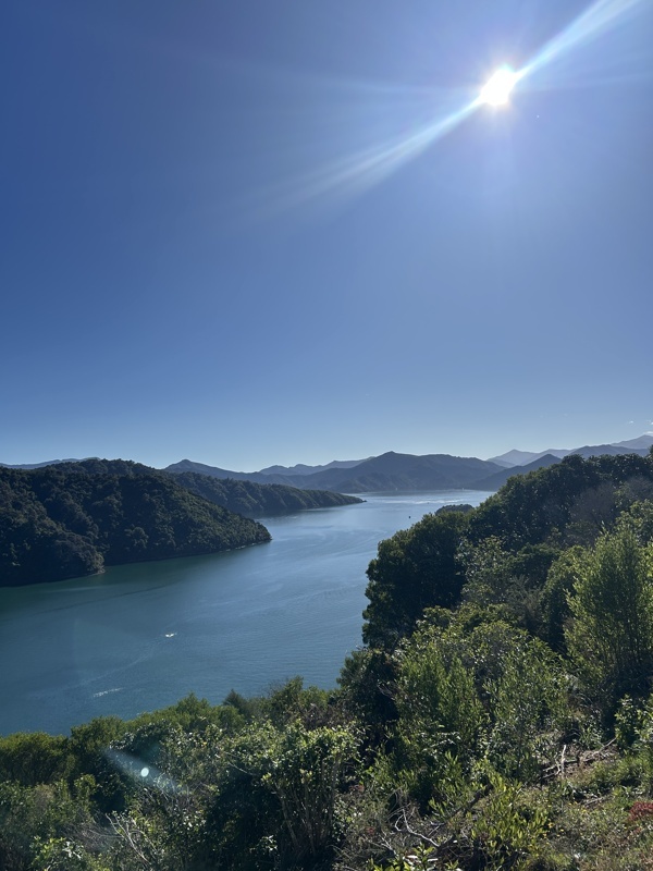 Picton