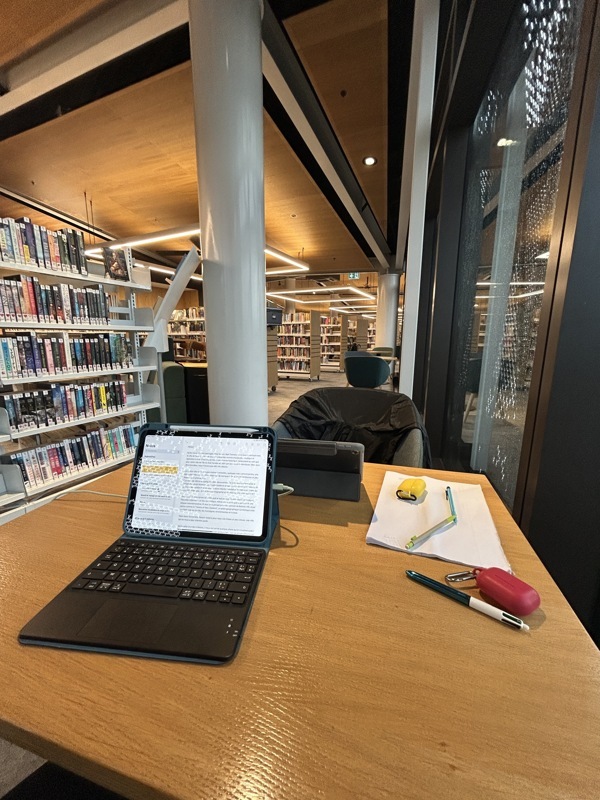 Bibliothèque : en effet on en passe du temps mais c’est pour travailler, écrire, avoir du wifi gratuit, des prises, travailler