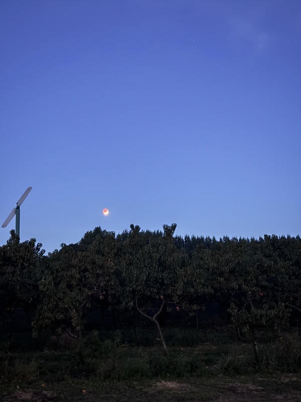 Lune de sang . Une très belle éclipse que nous avons pu voir en Mars