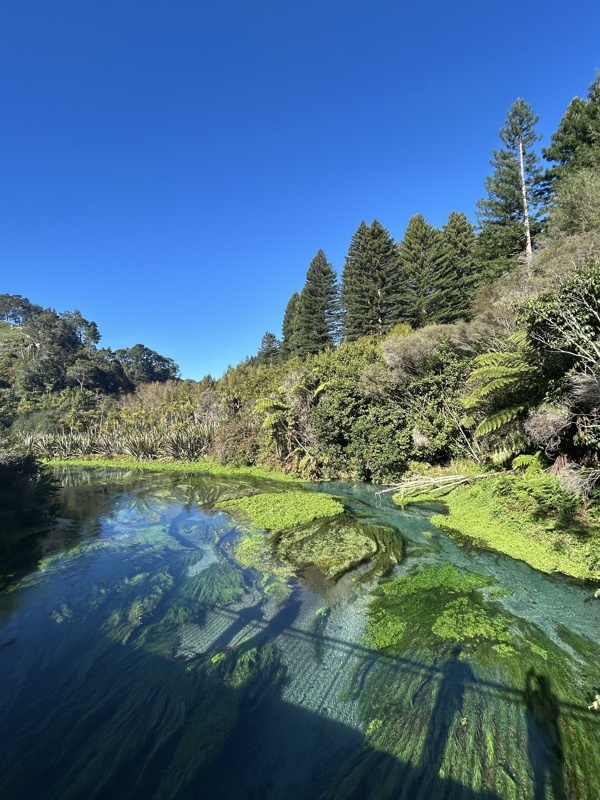 Blue Springs : 65 % de l'eau en bouteille néo-zélandaise provient d'ici