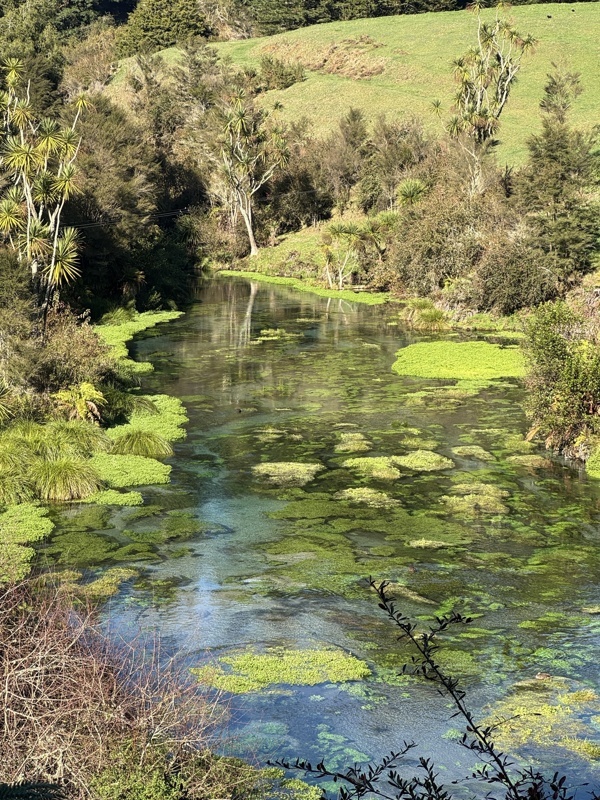 Blue Springs