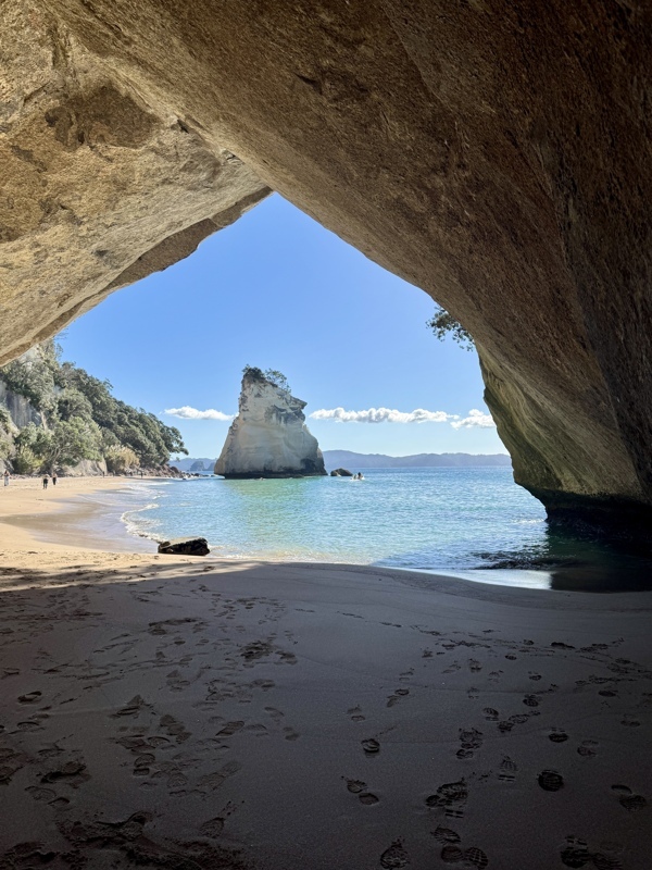 Retour dans le Coromandel 