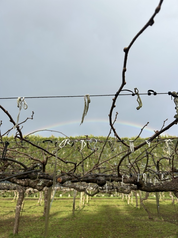 Arc en ciel