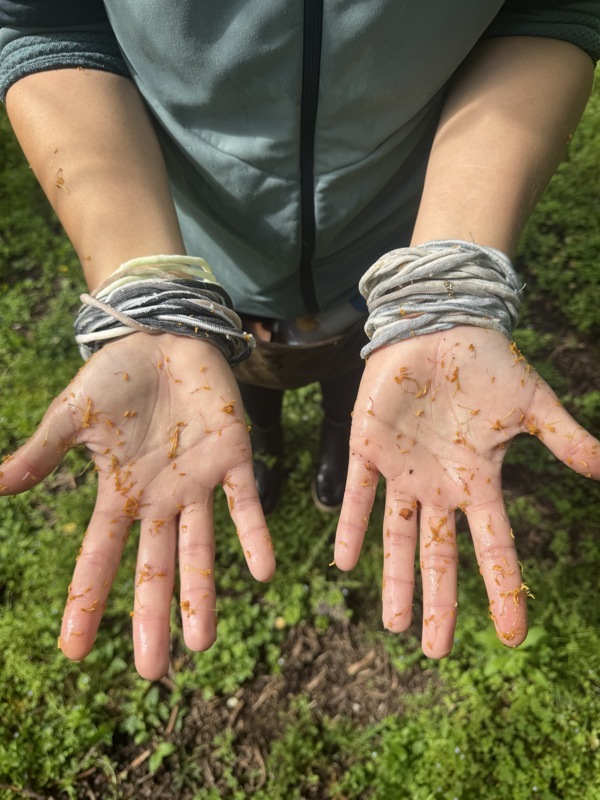 Agréable de travailler avec la pluie sur les fleurs