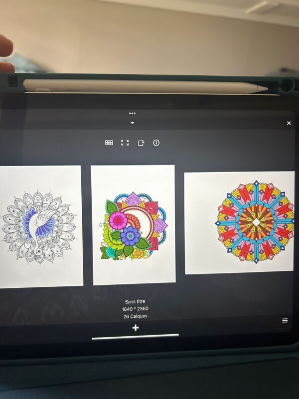 Nouvelle passion pour Camille, des coloriages
