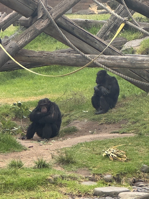 Zoo de Taronga