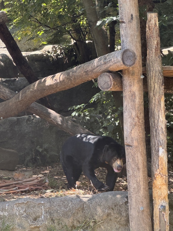 Ours
