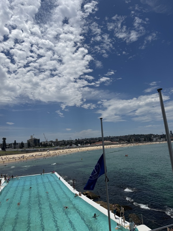 Marché de soleil / Bondi beach 