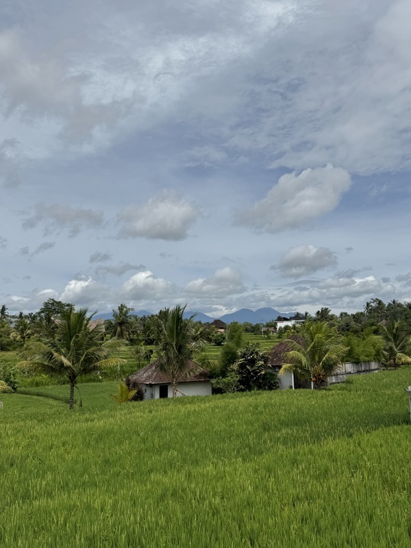 Campuhan Ridge Walk