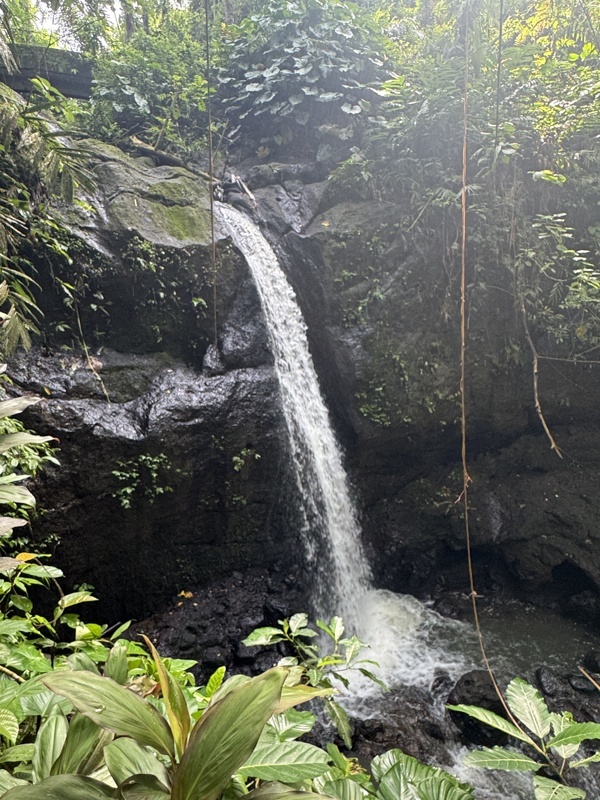 Belle cascade à Goa Gajah