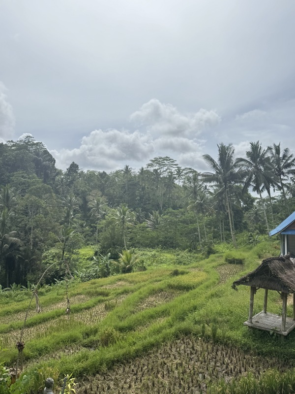 Gunung Kawi avant de croiser un serpent