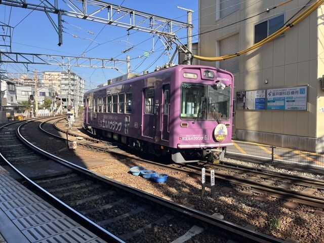 Bai bai Kyoto!