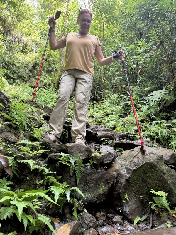 Sentier des Ravenales