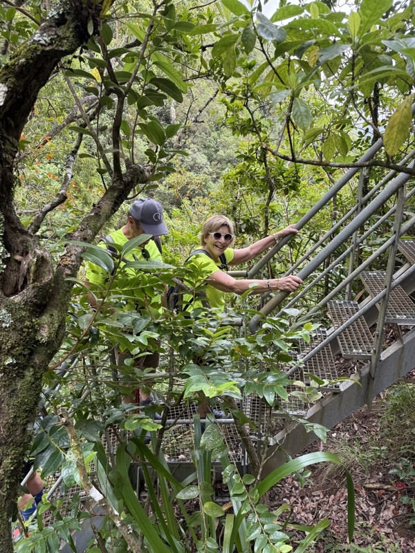 ohhh encore des marches!