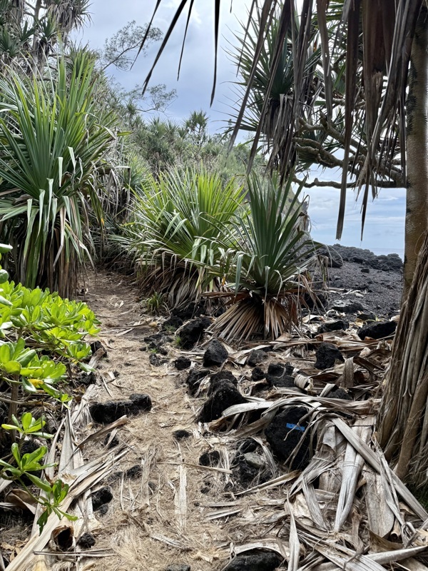 randonnée anse des cascades