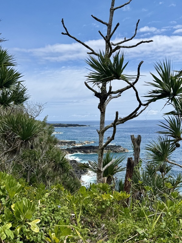 randonnée anse des cascades