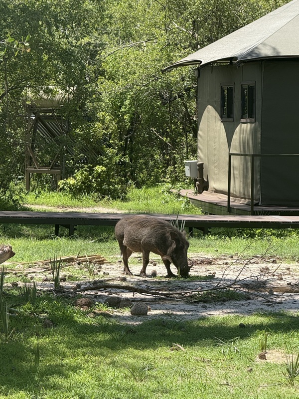 Pour eux aussi c’est lunch Time à côté de nous
