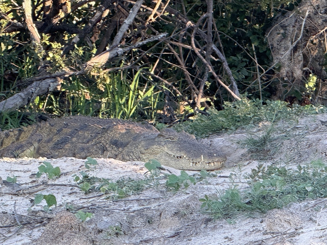 Beaucoup, beaucoup moins bébé