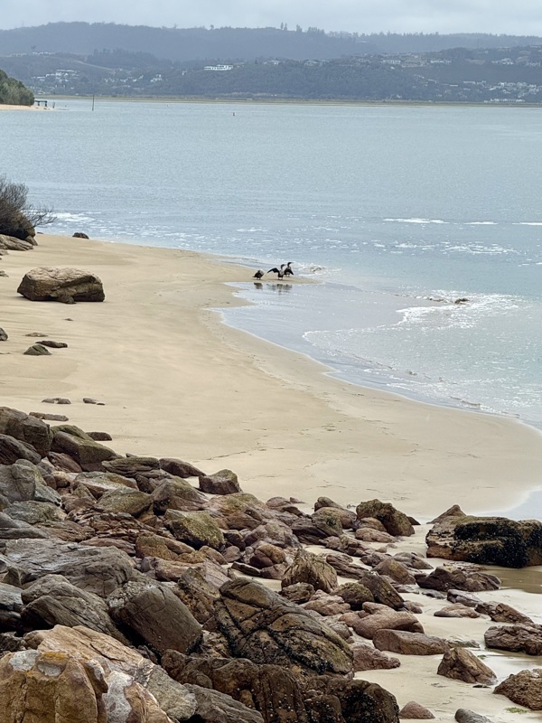 Réserve naturelle de Featherbed