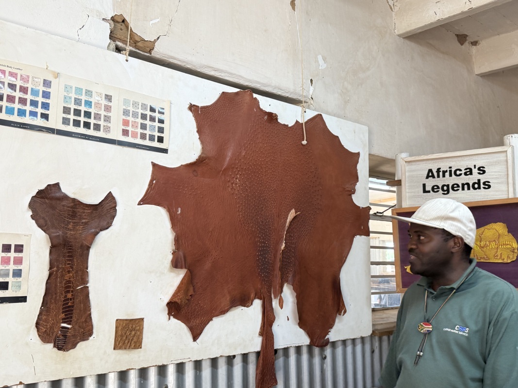 Peau si recherchée par les grande marque de maroquinerie